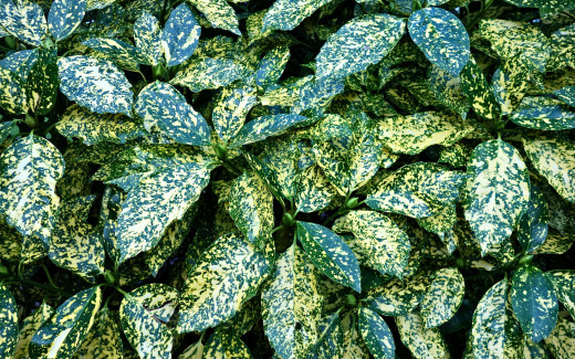 1298398 (a): :2560x1600